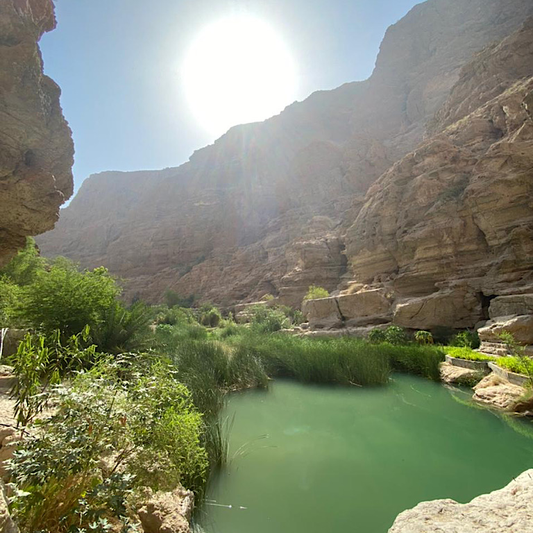 picture of the sun and greenery in the wadi